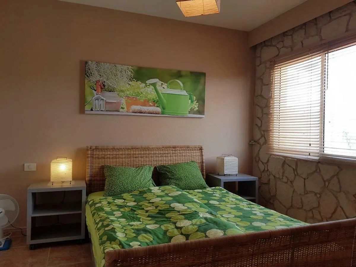 Villa Roque Del Conde With Fantastic Sea View, Terrace, Pool, Wifi, Sat-Tv, Garage 아데제